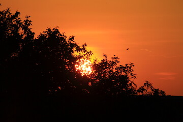 sunset in the mountains