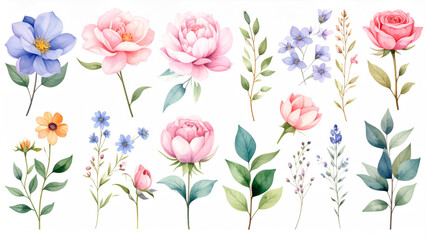 Delicate Floral Collection Watercolor Flowers in Pastel Shades