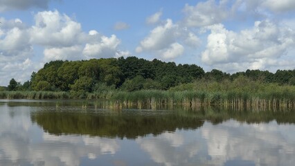 reflection of trees in the water