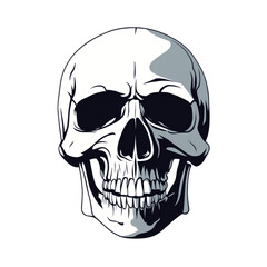 Fototapeta premium Detailed vector illustration of a human skull transparent background