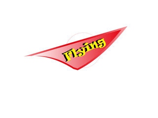 flying word desing