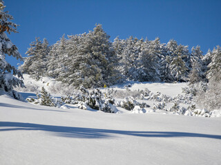 Landscape of Vitosha Mountain, Bulgaria