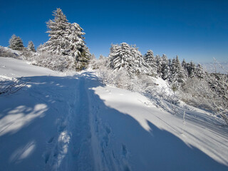Landscape of Vitosha Mountain, Bulgaria