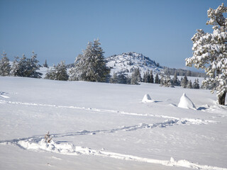 Landscape of Vitosha Mountain, Bulgaria