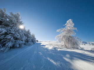 Landscape of Vitosha Mountain, Bulgaria