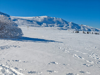 Landscape of Vitosha Mountain, Bulgaria