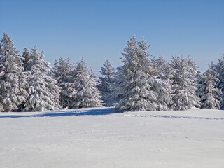 Landscape of Vitosha Mountain, Bulgaria