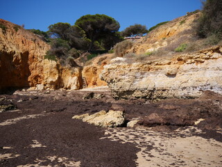 Portugal, Algarve, beach section with rocks and cliffs, the beach is covered with large amounts of...