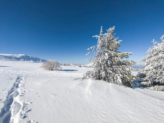 Obraz premium Landscape of Vitosha Mountain, Bulgaria