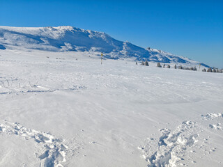 Landscape of Vitosha Mountain, Bulgaria