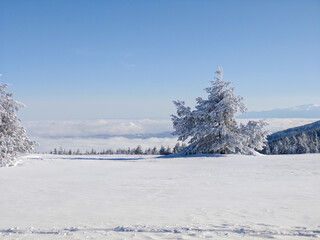 Landscape of Vitosha Mountain, Bulgaria