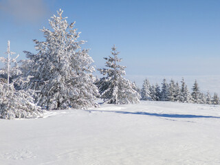 Obraz premium Landscape of Vitosha Mountain, Bulgaria