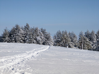 Landscape of Vitosha Mountain, Bulgaria