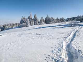 Landscape of Vitosha Mountain, Bulgaria