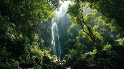 waterfall in the forest