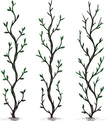 Set of silhouettes vine branches leaves. Grapes vineyard, grapevine black and white illustration. Wine labels design, Borders hand drawn decorative vines and berries botanical motifs. 