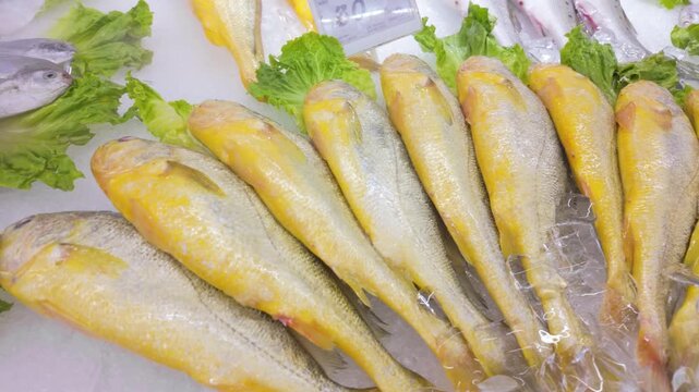 Chilled yellow croaker aquatic ingredients display