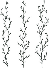 Black and White herbs. Stylized twigs plants. Set of branches doodle floral sketch Leaves border. Hand drawn Botanical drawing. Simple line art frieze, vine stems illustration. 