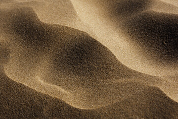 Sand texture in dunes close up