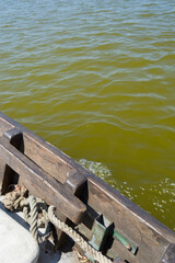 Albufera de Valencia - Vista en barca en movimiento