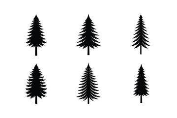 Obraz premium set of fern leaves tree vecor