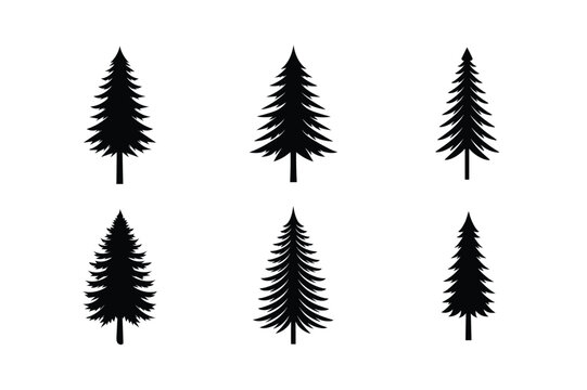 set of fern leaves tree vecor