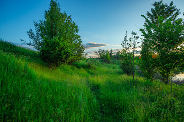 A tranquil evening view of a calm lake, with a bright sunburst and lens flares over the water, and a green shoreline with a distant treeline