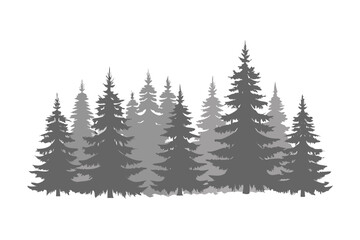 Fototapeta premium Monochromatic evergreen forest silhouette against a black background