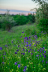 A calm evening landscape with a serene lake, with a subtle golden glow on the horizon and a treeline on the far bank, under a wide blue sky