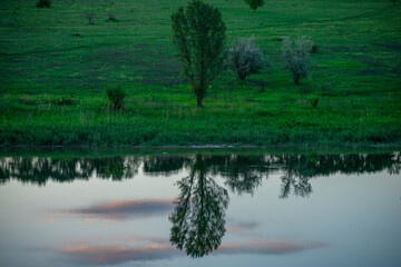 A horizontal shot of a still lake at dusk, with the water beautifully reflecting the sky and a tall tree on the opposite bank. The reflection is almost a perfect mirror image with soft pink and gray 