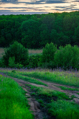 A rustic, dirt road winding through a vibrant green meadow filled with wildflowers at dusk. The...