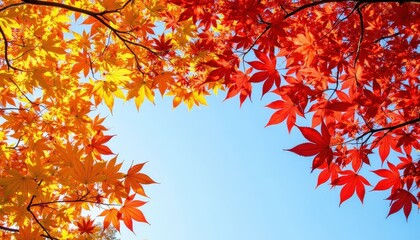 Autumn scenery with colorful leaves and railroad tracks in forest  