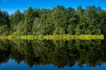 The Tranquil Reflection of Lush Greenery on a Calm Water Surface Creates an Images of Peacefulness