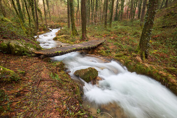 Rushing stream flows through a serene forest with a wooden bridge in the background