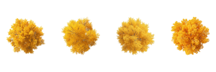 Autumn Yellow Trees Set. Seasonal Foliage And Nature Design Collection Isolated On Transparent Background