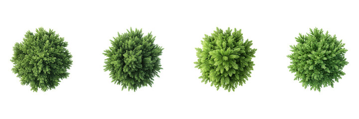 Fototapeta premium Top View Of Evergreen Trees Set. Nature And Landscaping Design Collection Isolated On Transparent Background