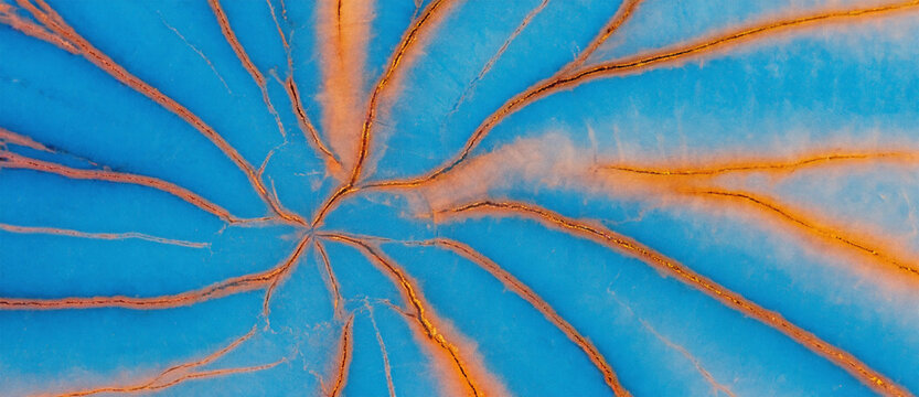 Organic pigment cracks forming radial pattern with depth and gradient lighting