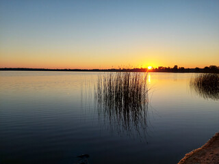 Sunrise over tranquil lake with tall reeds reflecting in calm waters