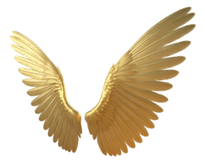 Golden wings isolated on white background with shiny metallic and elegant look
