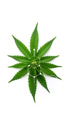 Cannabis leaf with molecular structure