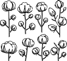 line art cloud-like softness illustration. Set outline fluffy cotton bolls sketch, doodle floral stems. Hand drawn Botanical drawing. Simple Stylized flowers. Black and White blooming