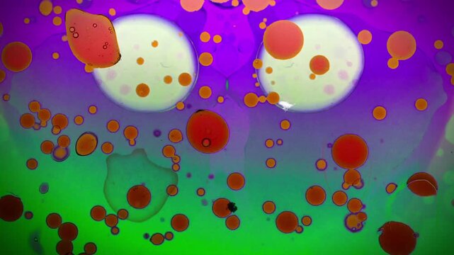 Authentic psychedelic liquid light show using the same methods as 1960's and 1970's projections at classic acid rock shows. Light art with added film damage effects. 8 of 8 in a series that connect.
