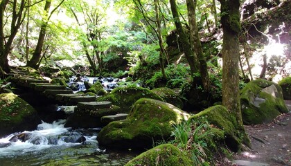 Lush forest stream with mossy stones