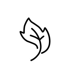 Simple line drawing of leaves