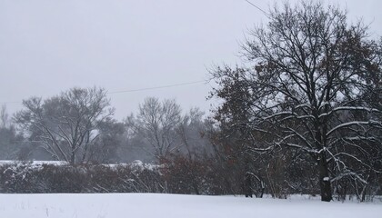 Snowy winter landscape