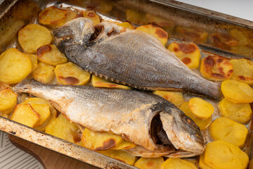 Dorado fish on a baking sheet with potatoes. Whole roasted seabream, gilt-head bream