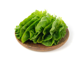 Romaine lettuce salad leaves isolated. Cos green leaves, fresh romain salat, raw romaine cabbage