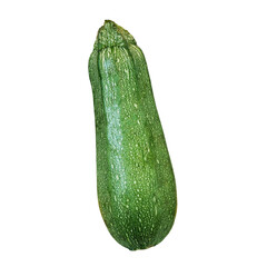A zucchini isolated on a transparent background png