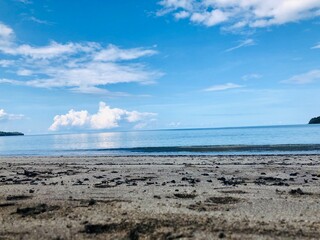 Faune et flore de l'île de Mayotte