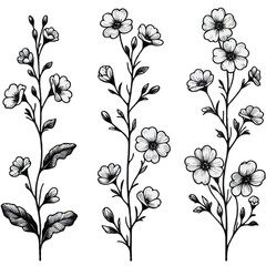 Meadow wild herbs Collection plants. Elegant Floral Hand Drawn Botanical. Flower illustration Doodle. Line art flowers, Buds Drawing Outline, grasses, stems, leaves Motif